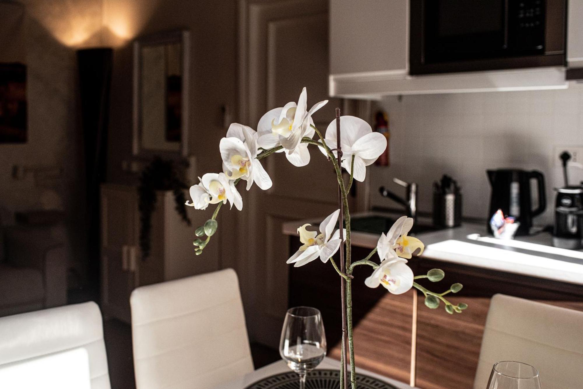 Spanish Steps Apartment & Terrace Рим Экстерьер фото